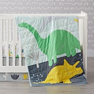 Crate & Barrel Dinosaur Baby Quilt